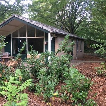 Vakantiebungalow De Schaapskooi เอเปอ ภายนอก รูปภาพ