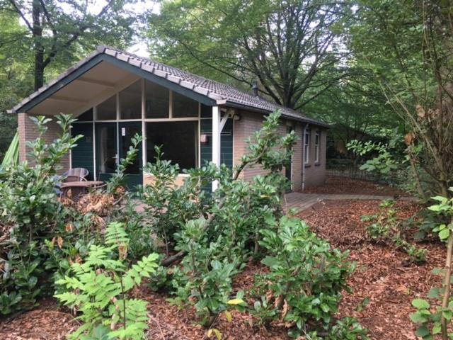 Vakantiebungalow De Schaapskooi เอเปอ ภายนอก รูปภาพ
