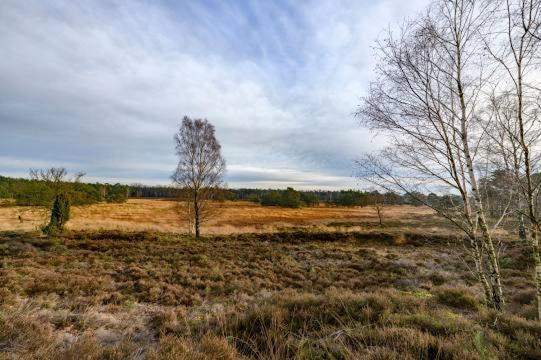 Vakantiebungalow De Schaapskooi เอเปอ ภายนอก รูปภาพ